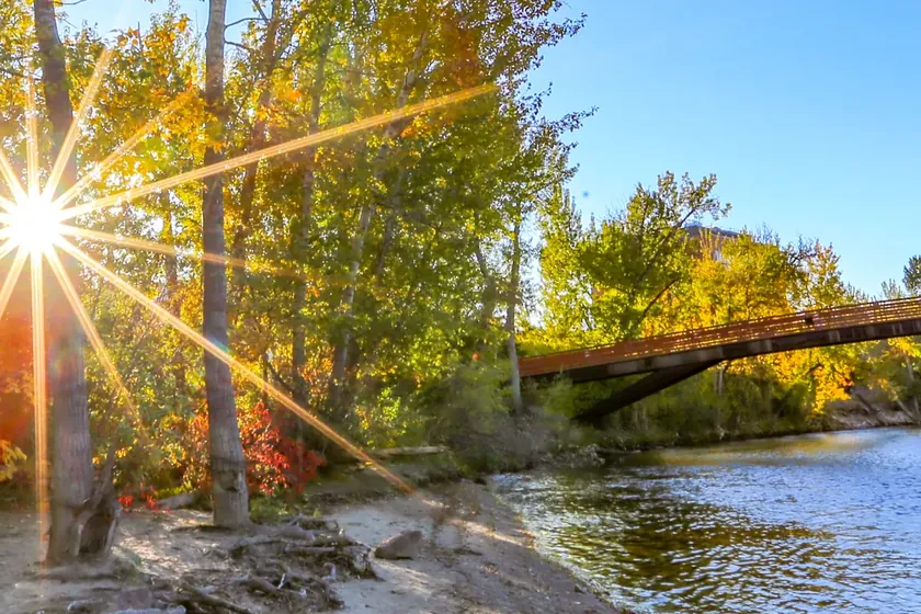 The Boise River and a footbridge lined with autumn trees along the greenbelt.